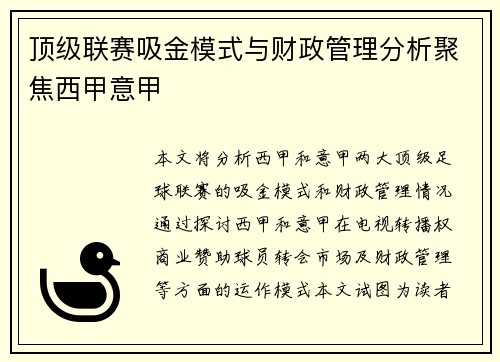 顶级联赛吸金模式与财政管理分析聚焦西甲意甲