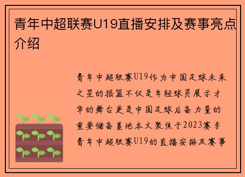 青年中超联赛U19直播安排及赛事亮点介绍